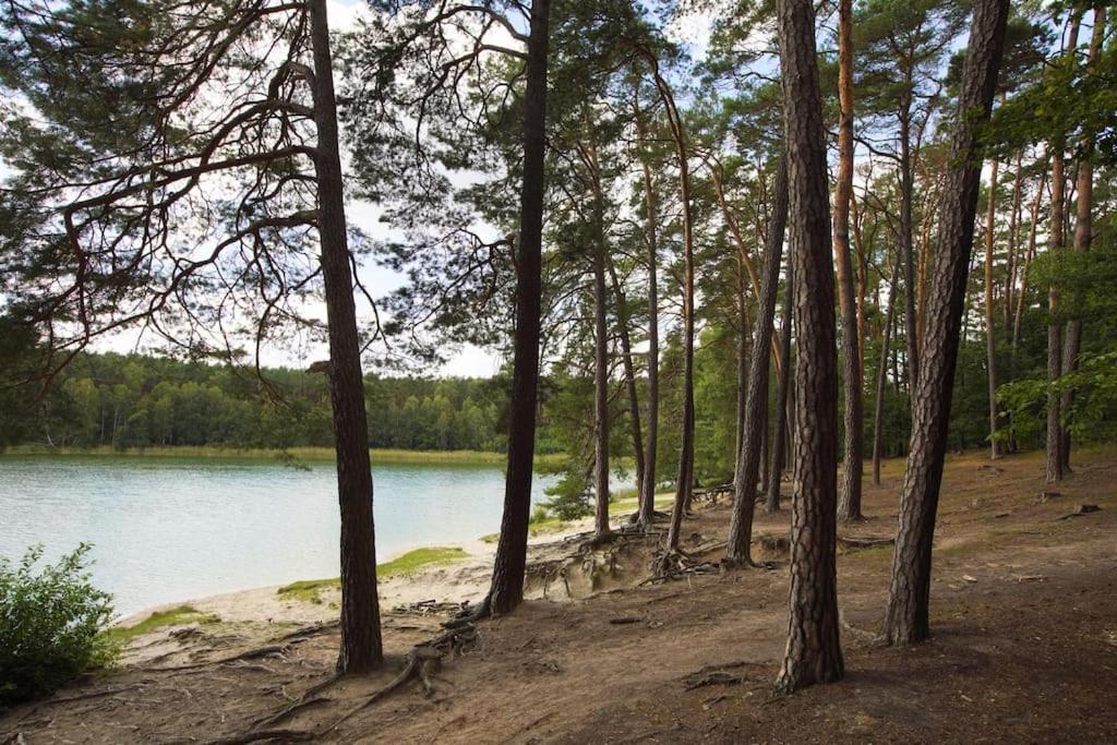 Kaminsko By Latowisko - Puszcza Zielonka Villa Eksteriør billede