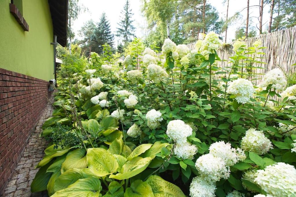 Kaminsko By Latowisko - Puszcza Zielonka Villa Eksteriør billede